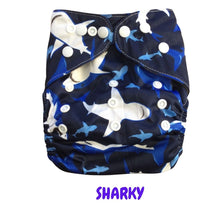 Load image into Gallery viewer, Butternut Exclusive Print Pocket Nappies (with Charcoal Stay Dry Lining)